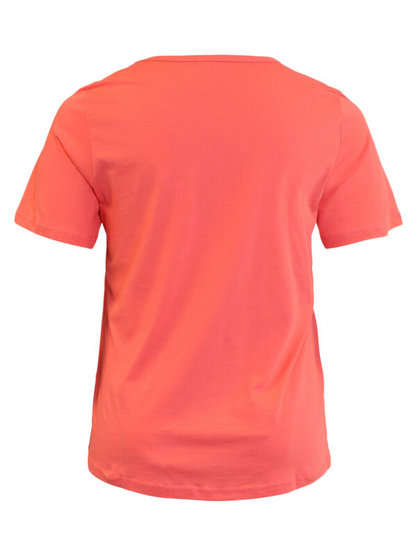 217496-7345_back t-shirt Ciso