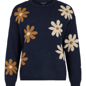 262-06454-06661-69A strik pullover Sunday